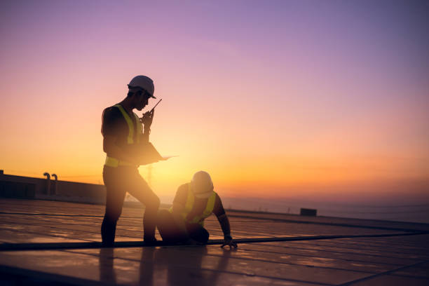 Best Residential Roof Replacement  in Caseyvle, IL