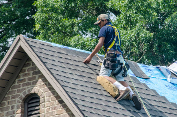 Best Best Roofing Contractors  in Caseyvle, IL