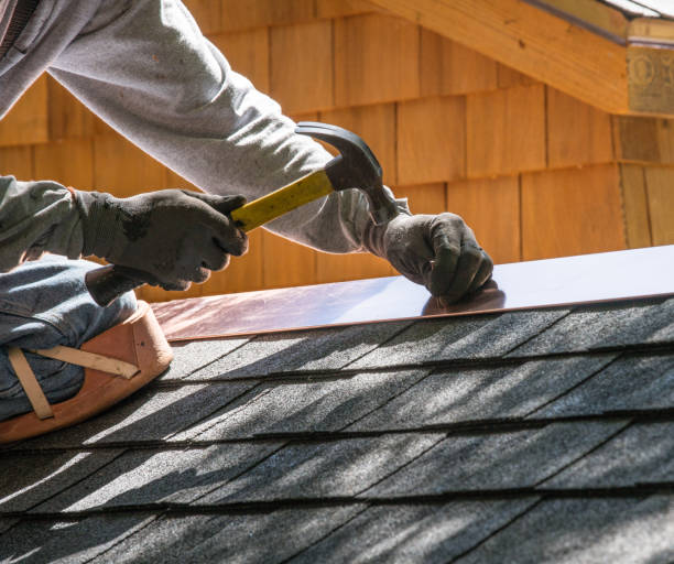 Best Roof Gutter Cleaning  in Caseyvle, IL